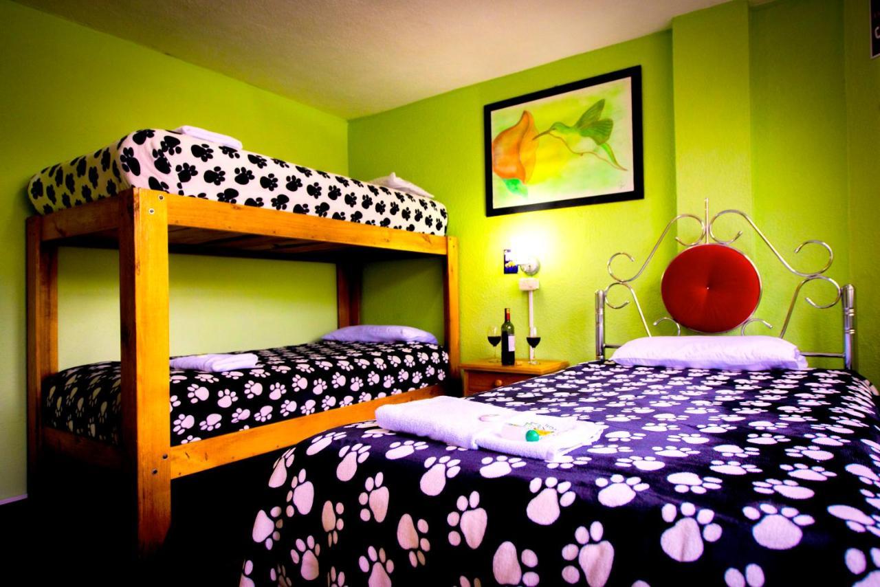Mirador Oro Verde Quilotoa Zumbagua Extérieur photo