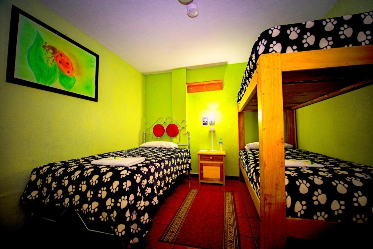 Mirador Oro Verde Quilotoa Zumbagua Extérieur photo